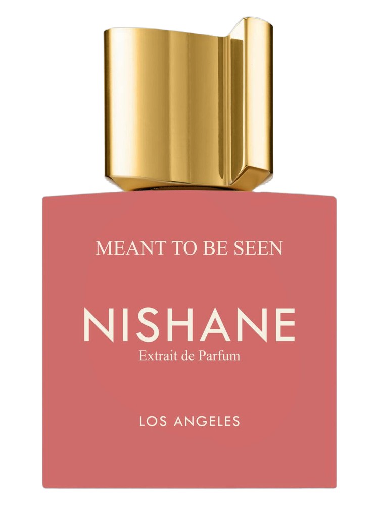 Meant To Be Seen Nishane for women and men 100ML